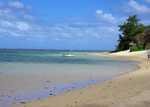 bel ombre mauritius